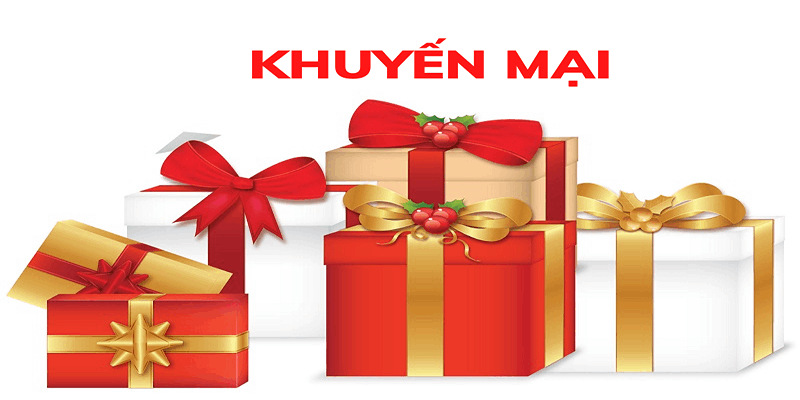 Khuyến Mãi New88 Cơ Hội Gia Tăng Vốn Cược Nhanh Nhất - VIXODU
