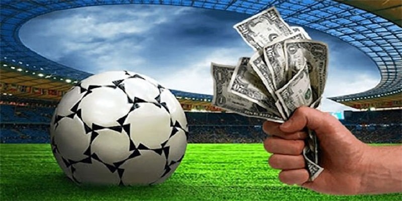 Thể Thao New88 Thiên Đường Cá Cược Đỉnh Cao Cho Bet Thủ - VIXODU