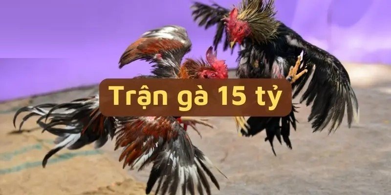 Đá Gà New88 - Tuyển Chọn Những Chiến Kê Đẳng Cấp Nhất - VIXODU