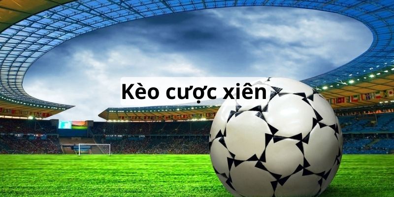 Thể Thao New88 Thiên Đường Cá Cược Đỉnh Cao Cho Bet Thủ - VIXODU