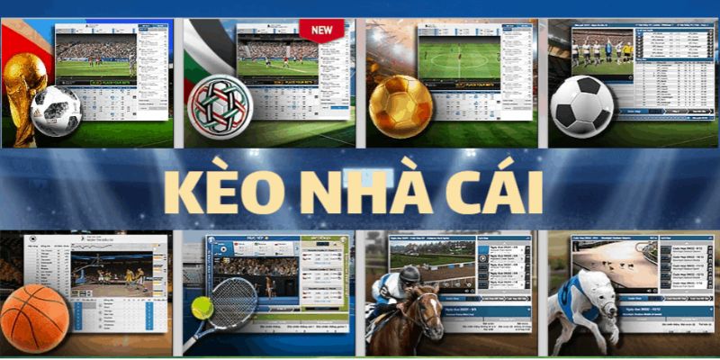 Thể Thao New88 Thiên Đường Cá Cược Đỉnh Cao Cho Bet Thủ - VIXODU