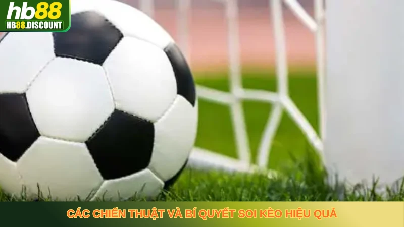 Hướng Dẫn Chơi Tài Xỉu 3/4 Và Chiến Thuật Thắng Dễ Dàng - HB88-Trang Chủ Uy Tín Cho Anh Em - VIXODU