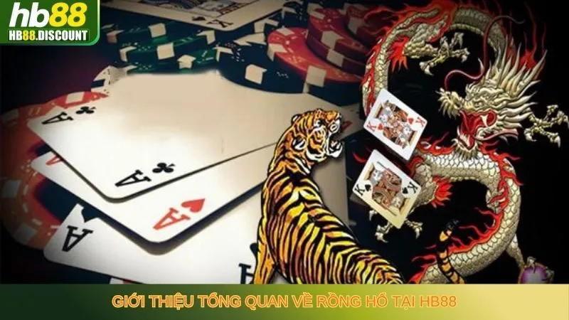 Rồng Hổ - Chiến thuật và Kinh Nghiệm Vàng Từ Cược Thủ - HB88-Trang Chủ Uy Tín Cho Anh Em - VIXODU