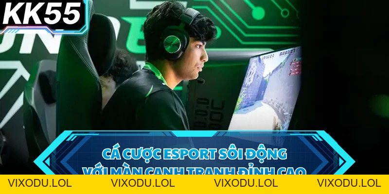 Cá Cược Esport - Sức Hút Từ Giải Đấu Và Mức Thưởng Cao - VIXODU