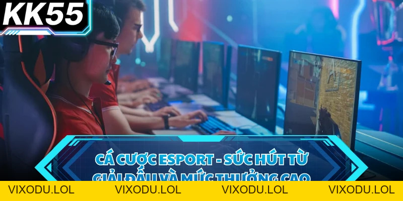 Thể Thao Tại KK55 - Khám Phá Thế Giới Giải Trí Sôi Động - VIXODU