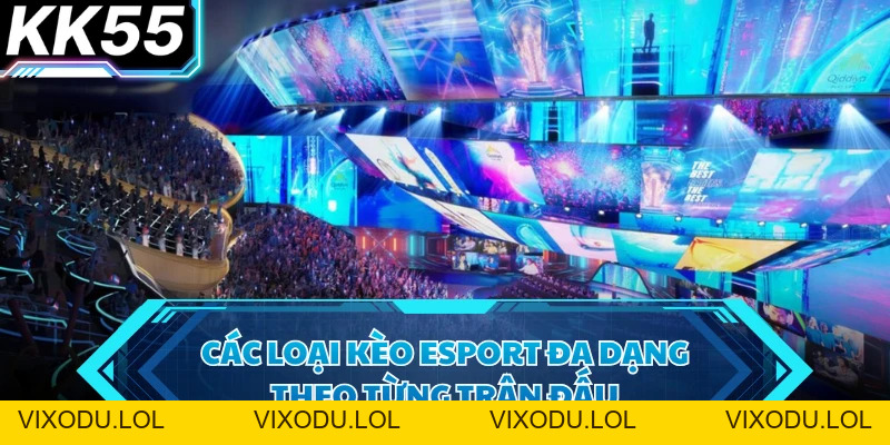 Cá Cược Esport - Sức Hút Từ Giải Đấu Và Mức Thưởng Cao - VIXODU